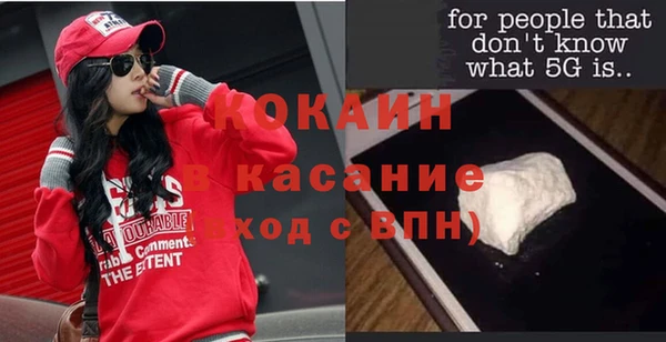 твердый Алексеевка