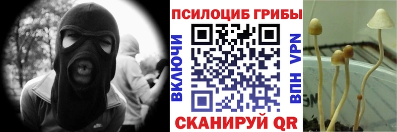 Галлюциногенные грибы ЛСД  Лаишево 