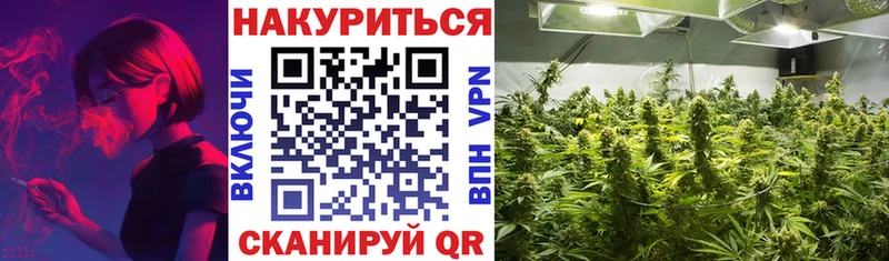 где купить наркотик  Лаишево  МАРИХУАНА гибрид 